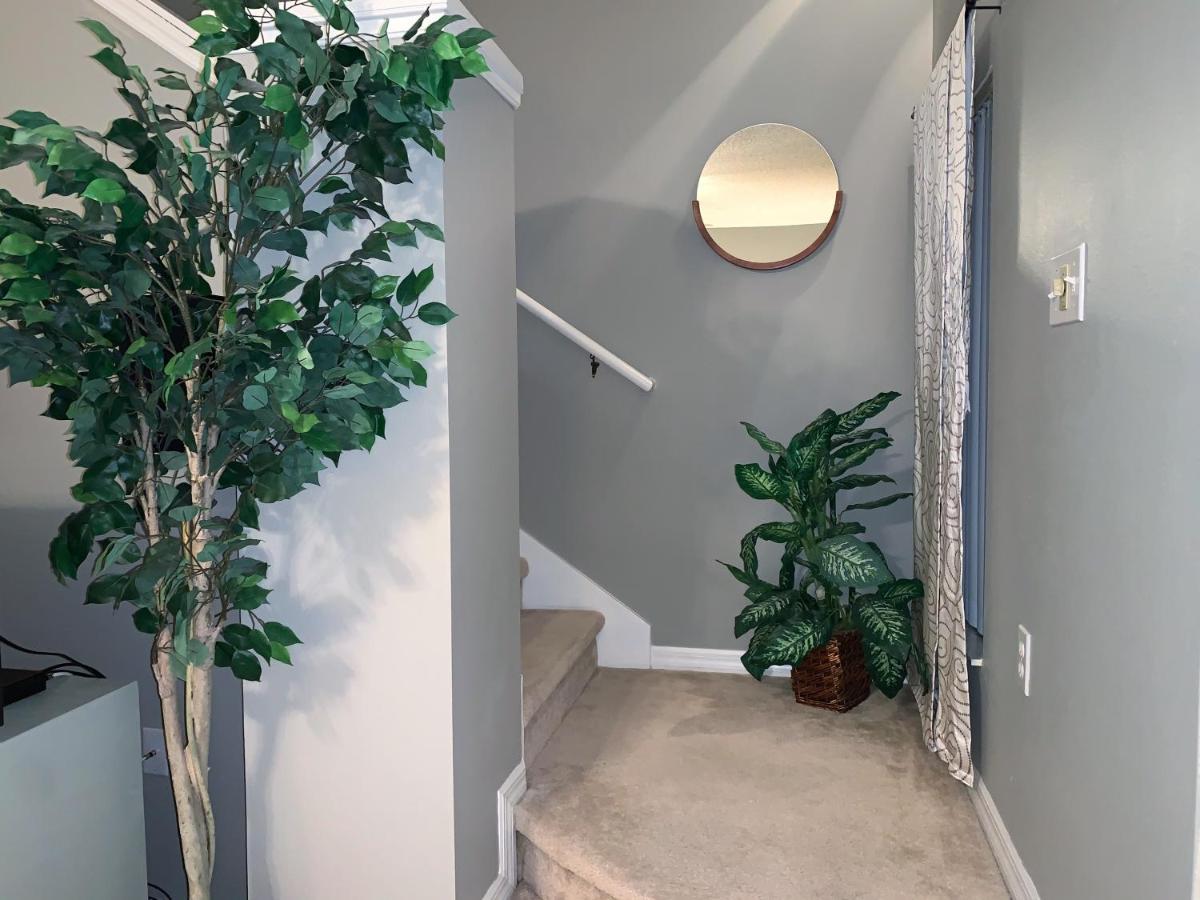 Terra Verde Vacation Rentals كيسيمي المظهر الخارجي الصورة